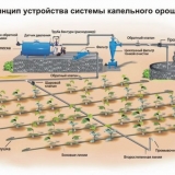 Diy navodnjavanje kap po kap